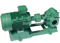 High Temperature Gear Oil Pump/Lube Oil Pump/Edible Oil Pump/Chemical Oil Pump
